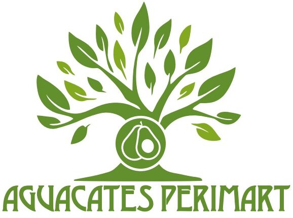 Recetas con Aguacate